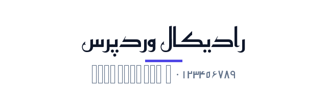 پیش‌نمایش فونت Reem Kufi Fun